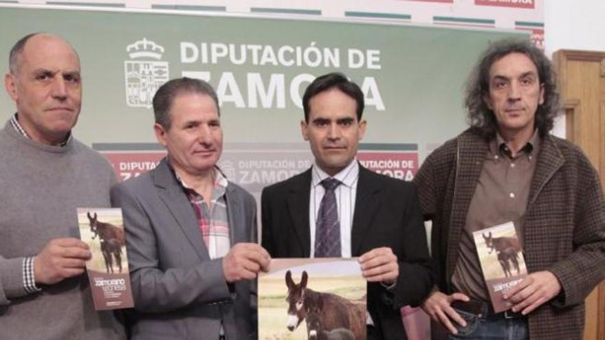 Un momento de la presentación de la subasta de burros de San Vitero.