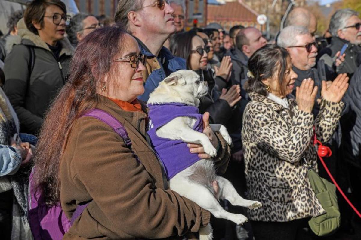 Bendición de animales en Els tres tombs