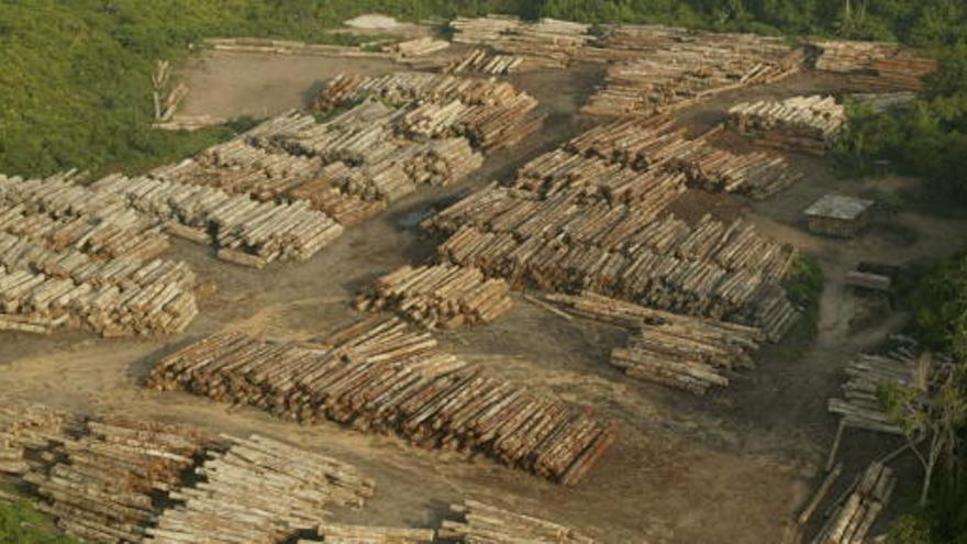 Los ambientalistas critican que el nuevo código forestal abre camino a un aumento de la deforestación de la Amazonia.