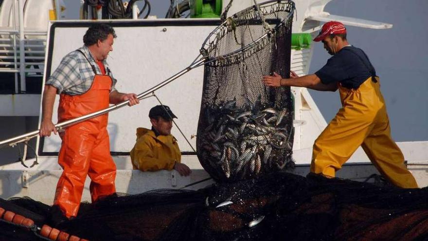 Pescadores de un barco del cerco durante una jornada de pesca de sardina.