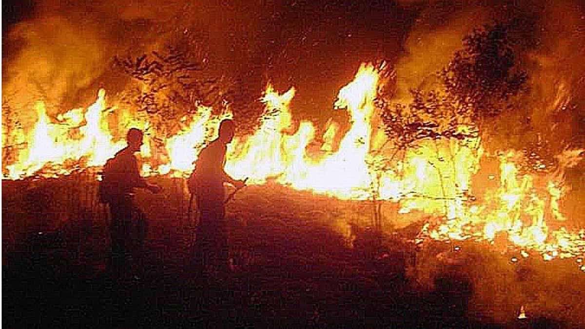 brasil despliega a miles de hombres para combatir los incendios en la amazonia