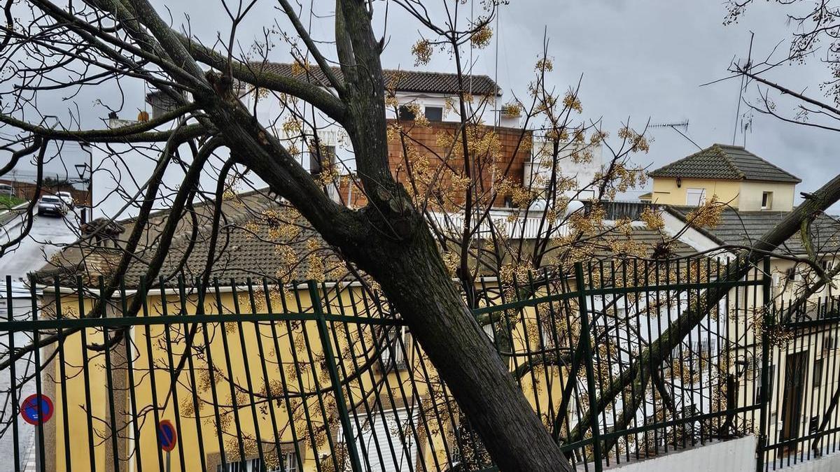 Ustea critica la situación de «total desprotección» de los docentes de Córdoba durante el temporal