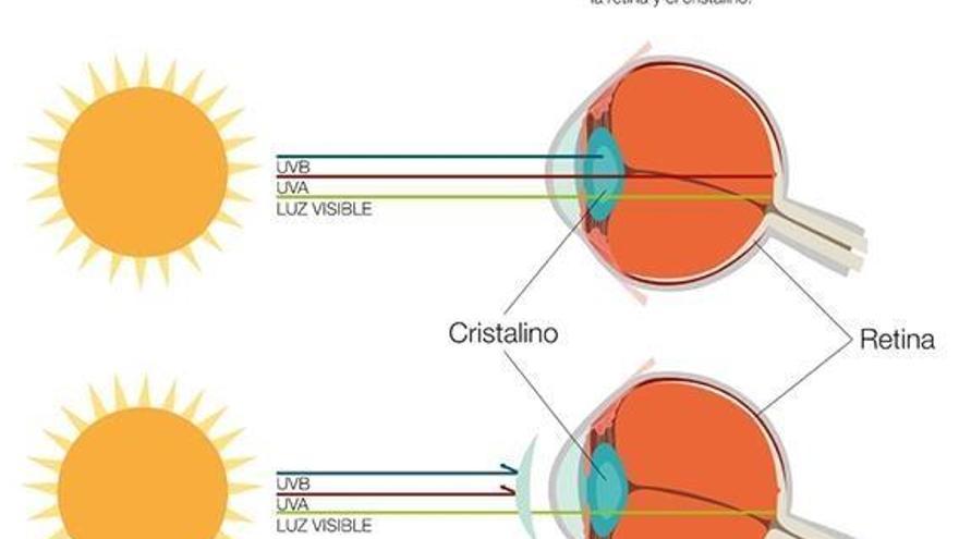 PerfectVisions, la mejor variedad en gafas de sol