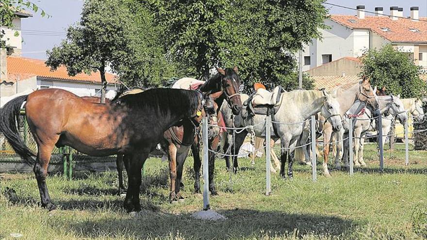 Vilafranca conmemora su tradición ganadera