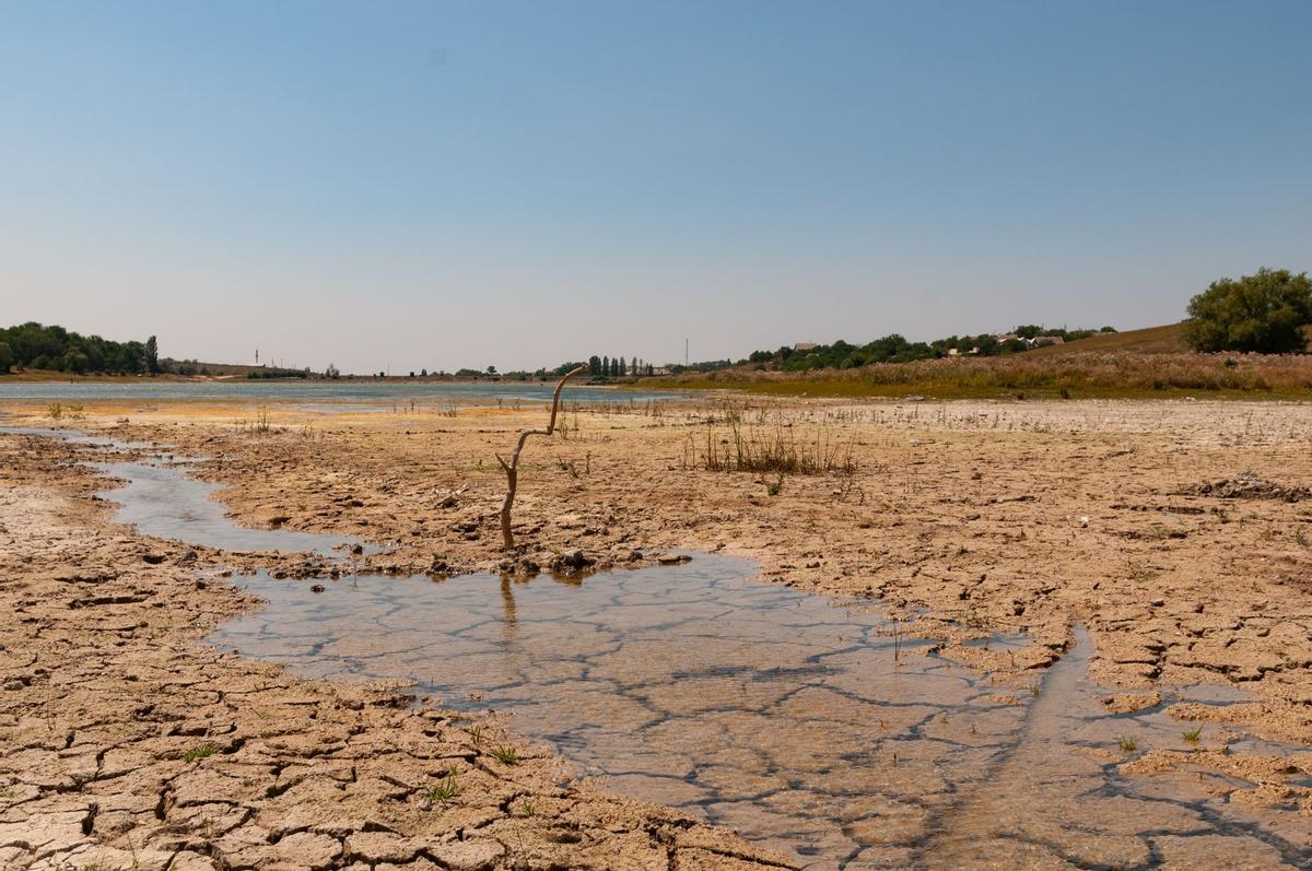 Jornada “Estrategias locales de adaptación y mitigación frente a fenómenos climáticos extremos”
