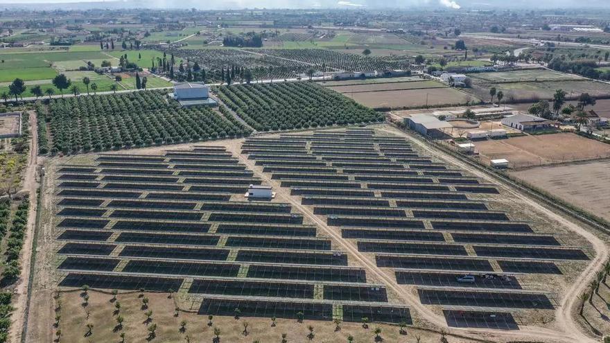 Acuamed fija precio para comprar el proyecto privado de planta solar que suministre energía a la desaladora de Torrevieja