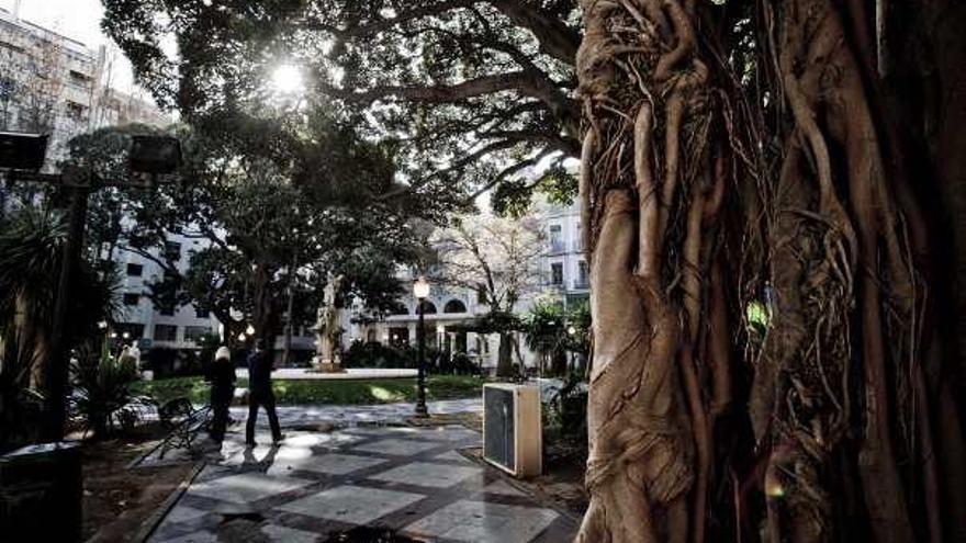 La plaza de Gabriel Miró no verá renovados sus jardines y pérgolas.