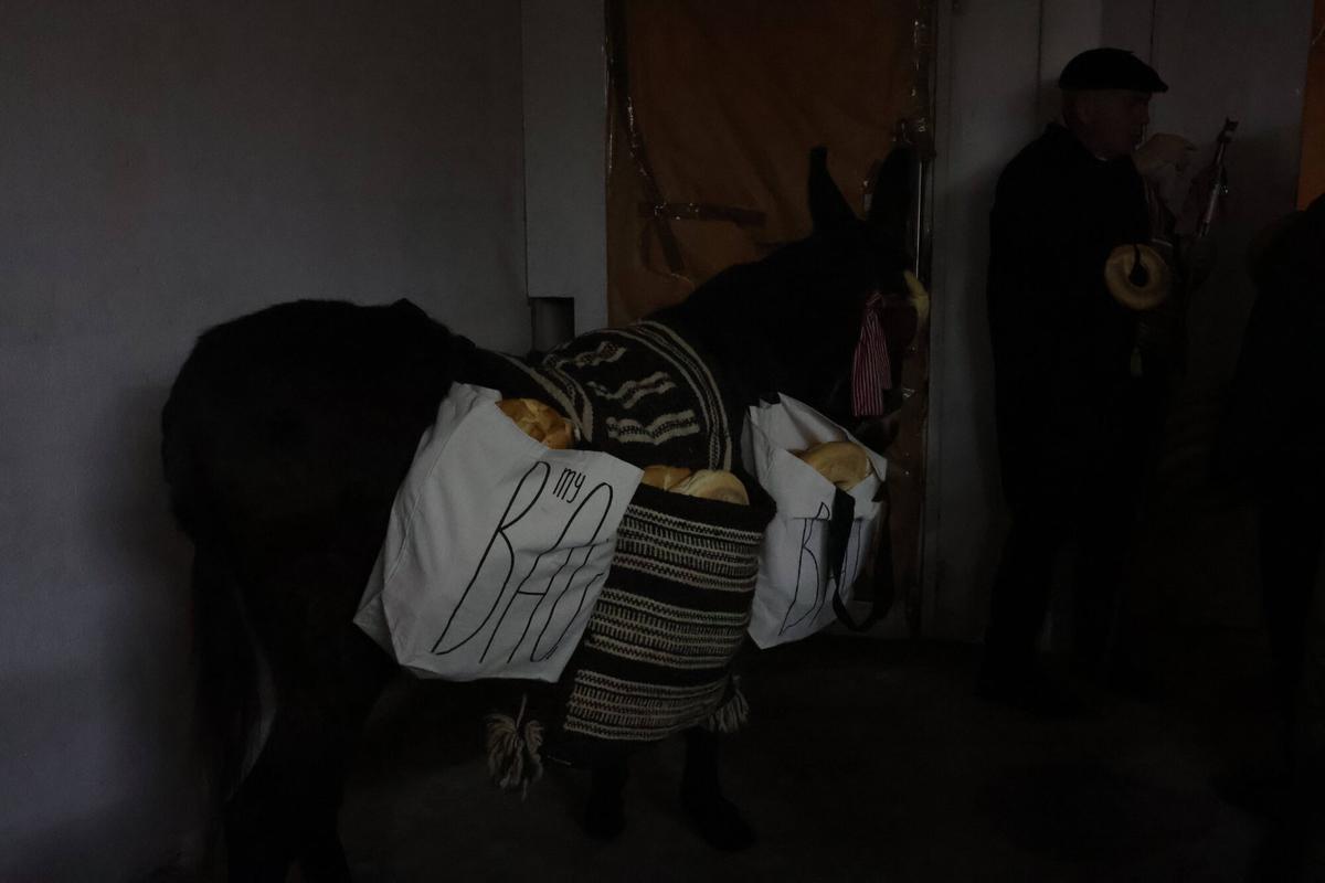 GALERÍA | Burros y roscas: la Cofradía del Cencerro sale por las calles de Zamora