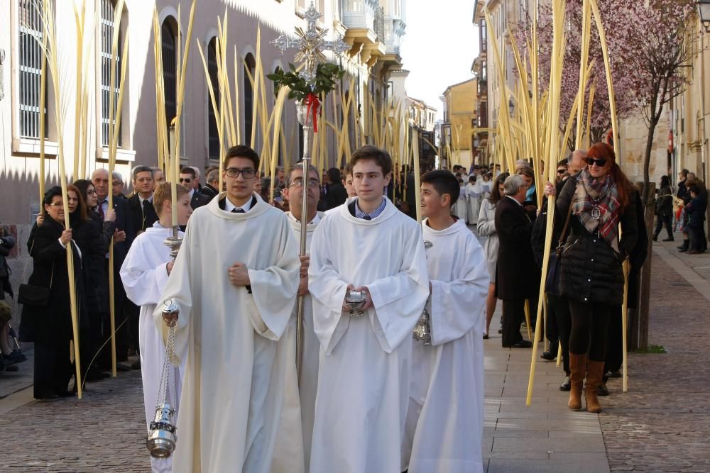 Bendición de ramos y palmas