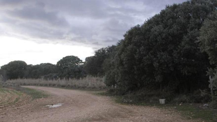 Inmediaciones en las que se halló el cadáver del joven rumano.