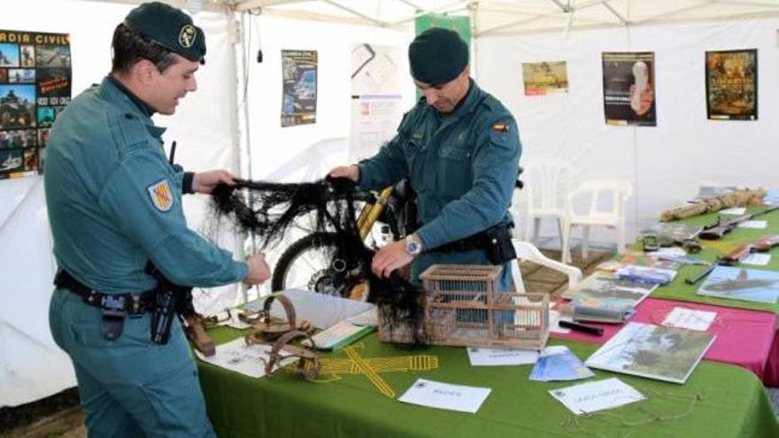 Agentes del Seprona.