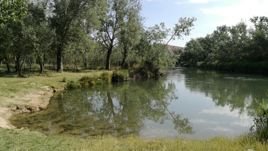 Pozas naturales con agua refrescante a menos de una hora de Madrid, la escapada gratuita que no conoce mucha gente
