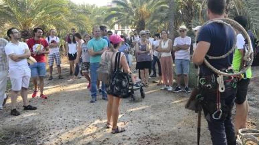 Arranque de la ruta por el Palmeral celebrada ayer.