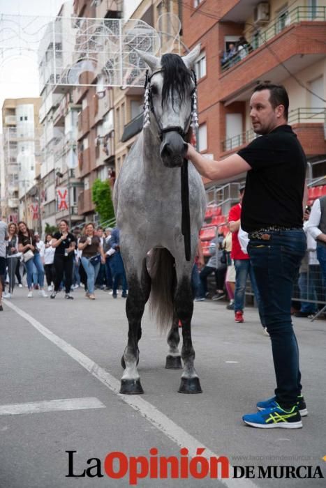 Caballos del Vino: Concurso morfológico (salida Pl