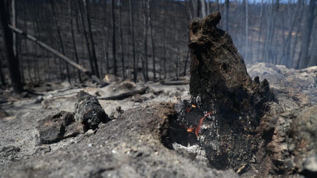 Las consecuencias del incendio de Bejís en Teresa.