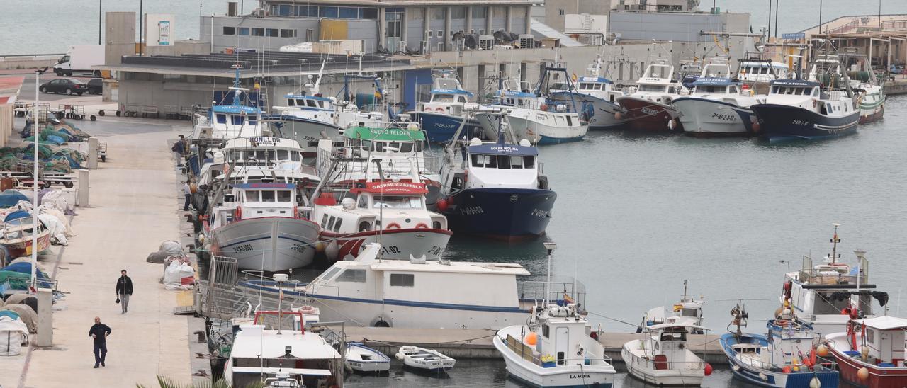 La flota pesquera de Santa Pola, la más numerosa de la provincia, amarrada a puerto en protesta por la subida del gasoil.