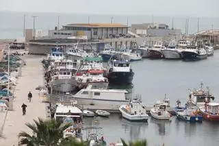 La pesca de la provincia ya acumula 2 millones en pérdidas desde el inicio de la guerra de Ucrania