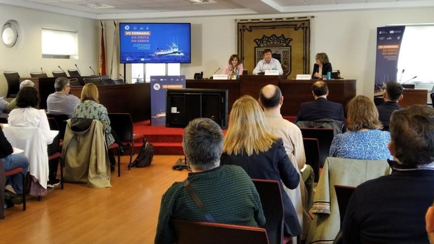 España y Portugal preparan otro plan de gestión de la sardina para capturarla más