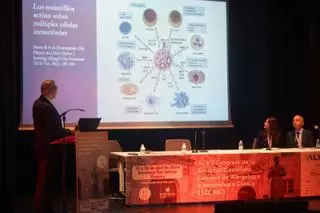 La alergia es la "pandemia no infecciosa del siglo XXI", advierten los expertos en Zamora