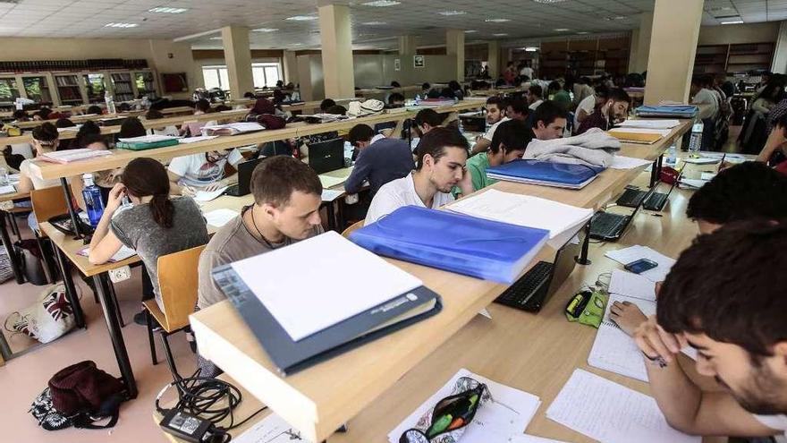 Universitarios repasando apuntes en la Biblioteca de Torrecedeira. // FdV