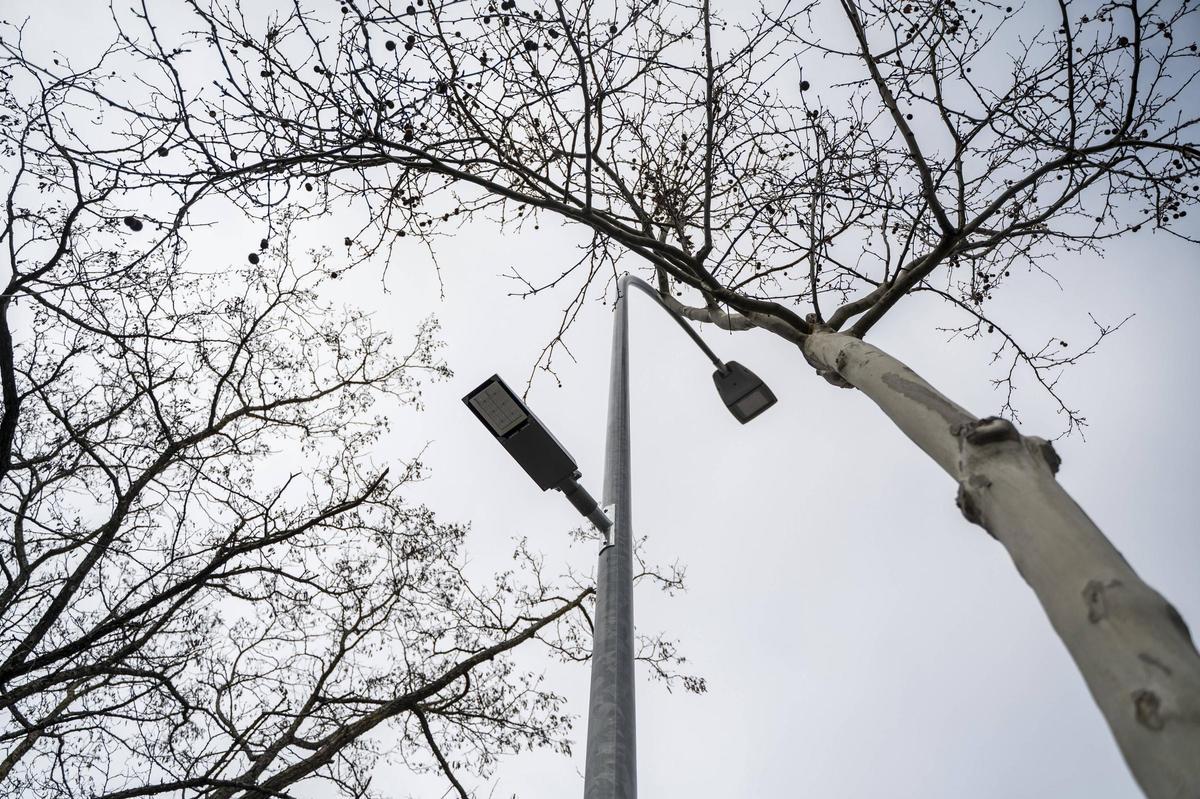 Galería | Así está la avenida de la Hispanidad de Cáceres en la actualidad