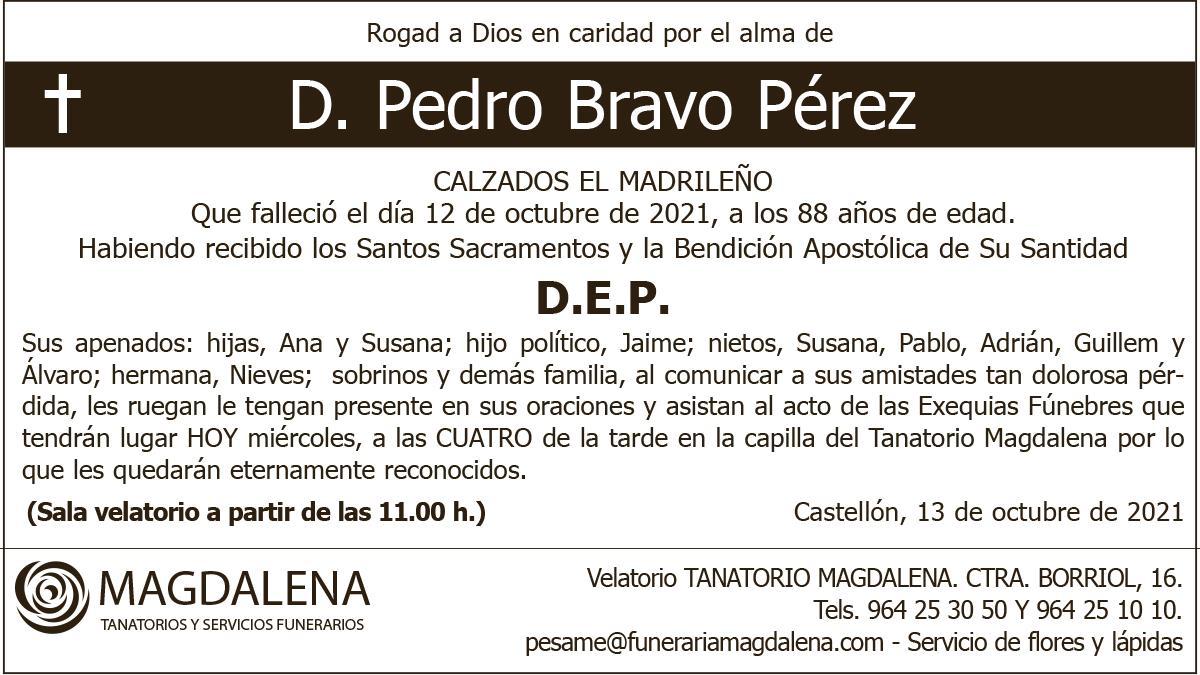 D. Pedro Bravo Pérez