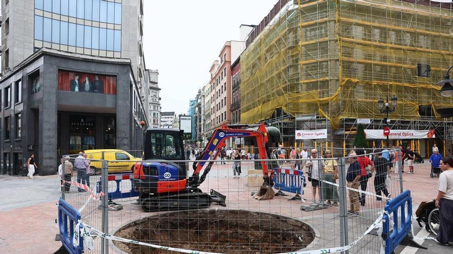 Esta es la variedad arbórea que toma hoy el relevo en Oviedo al laurel que cedió en Palacio Valdés