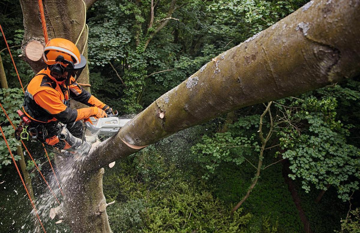Trabajos con motosierra STIHL en montes asturianos