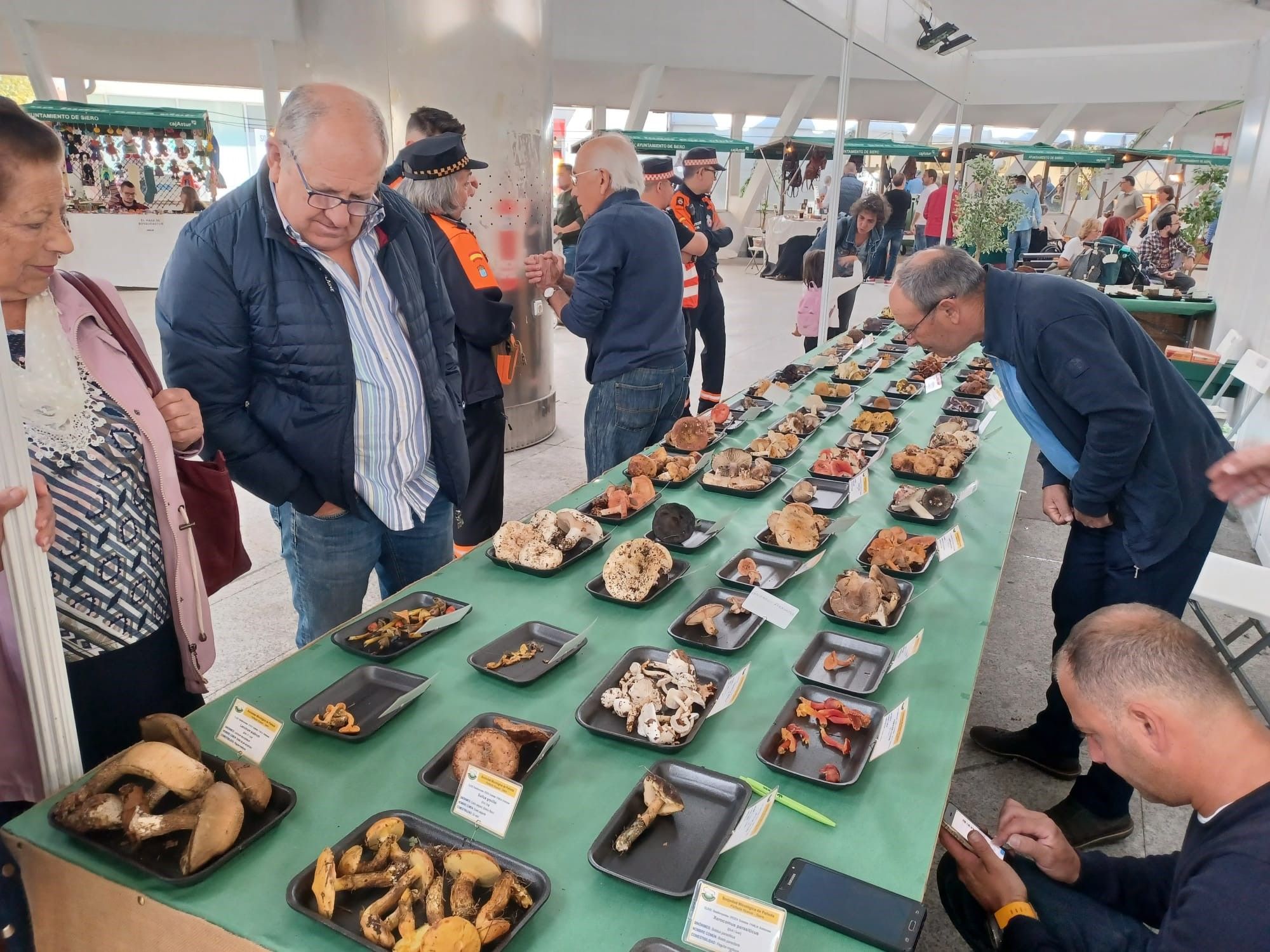 Agrosiero, así se celebra la gran fiesta del campo en la Pola