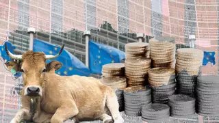 Los recortes de la UE "son lesivos para el medio rural", advierte el Principado