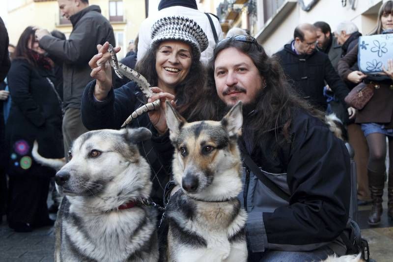 Fotogalería: Fiesta de San Antón