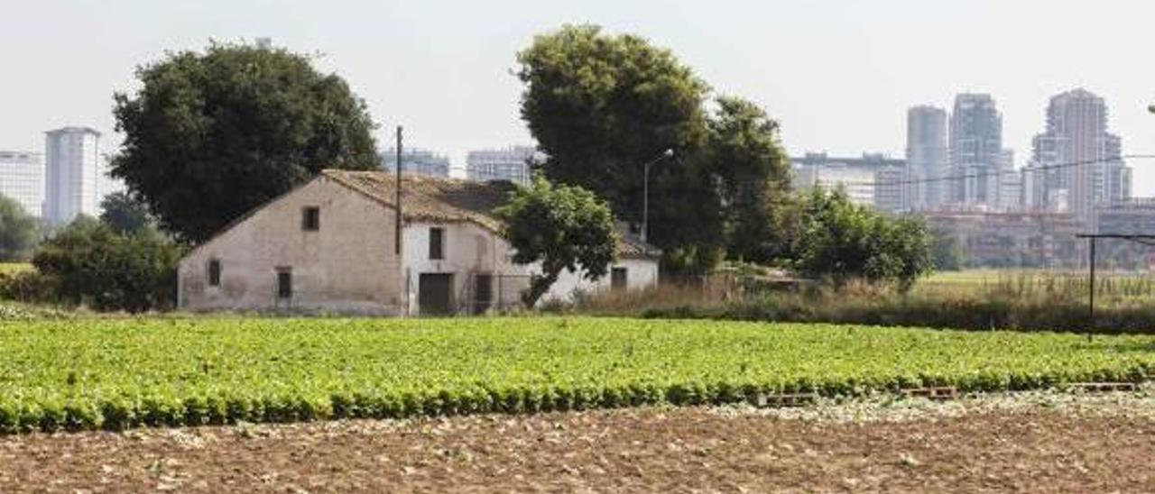 Vista general de la Partida de Dalt de Campanar que se vería afectada por la construcción de la tubería.