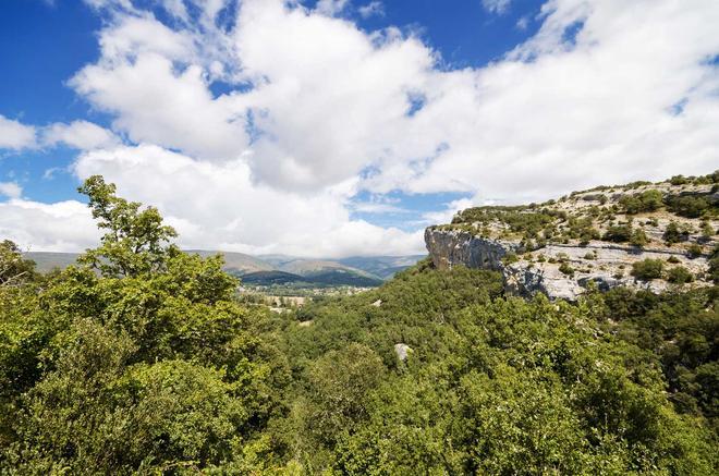 Cueva Palomera, El Alto de la Concha (Burgos)