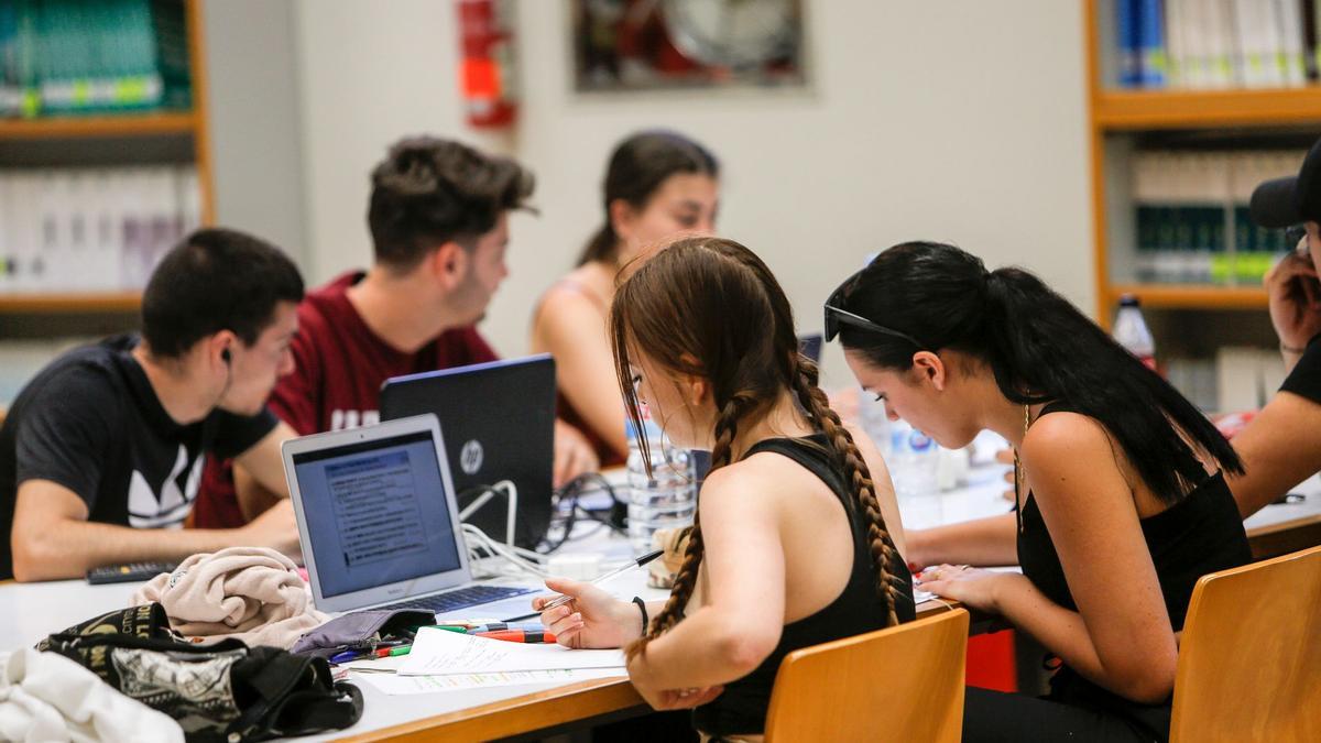 Alumnado estudiando en la Biblioteca de Ciencias Sociales “Gregori Maians” de la UV.
