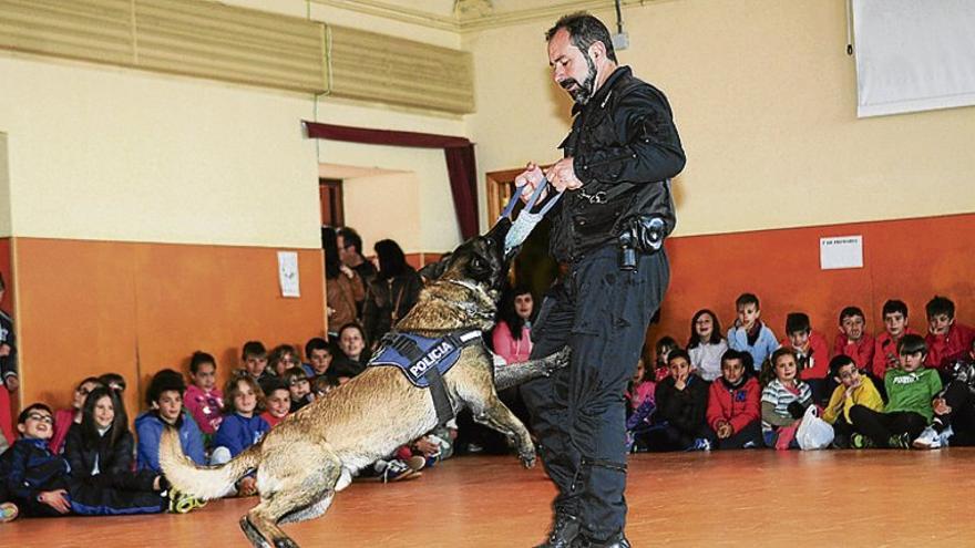 Semana quijotesca en el colegio El Pilar de Plasencia