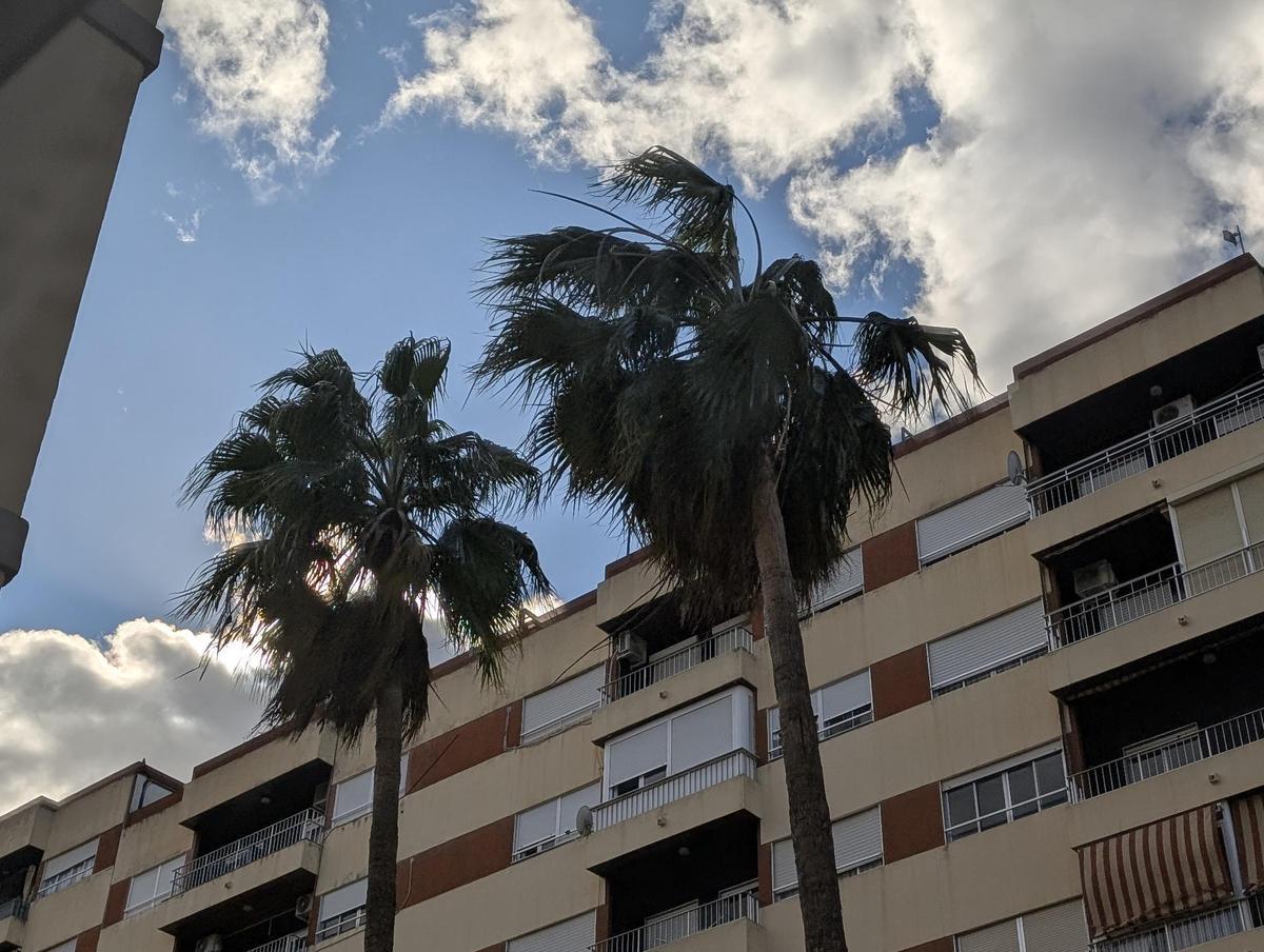El temporal asociado a la borrasca Kristin ha dejado imágenes de impacto en Xàtiva, las rachas de viento han alcanzado niveles huracanados
