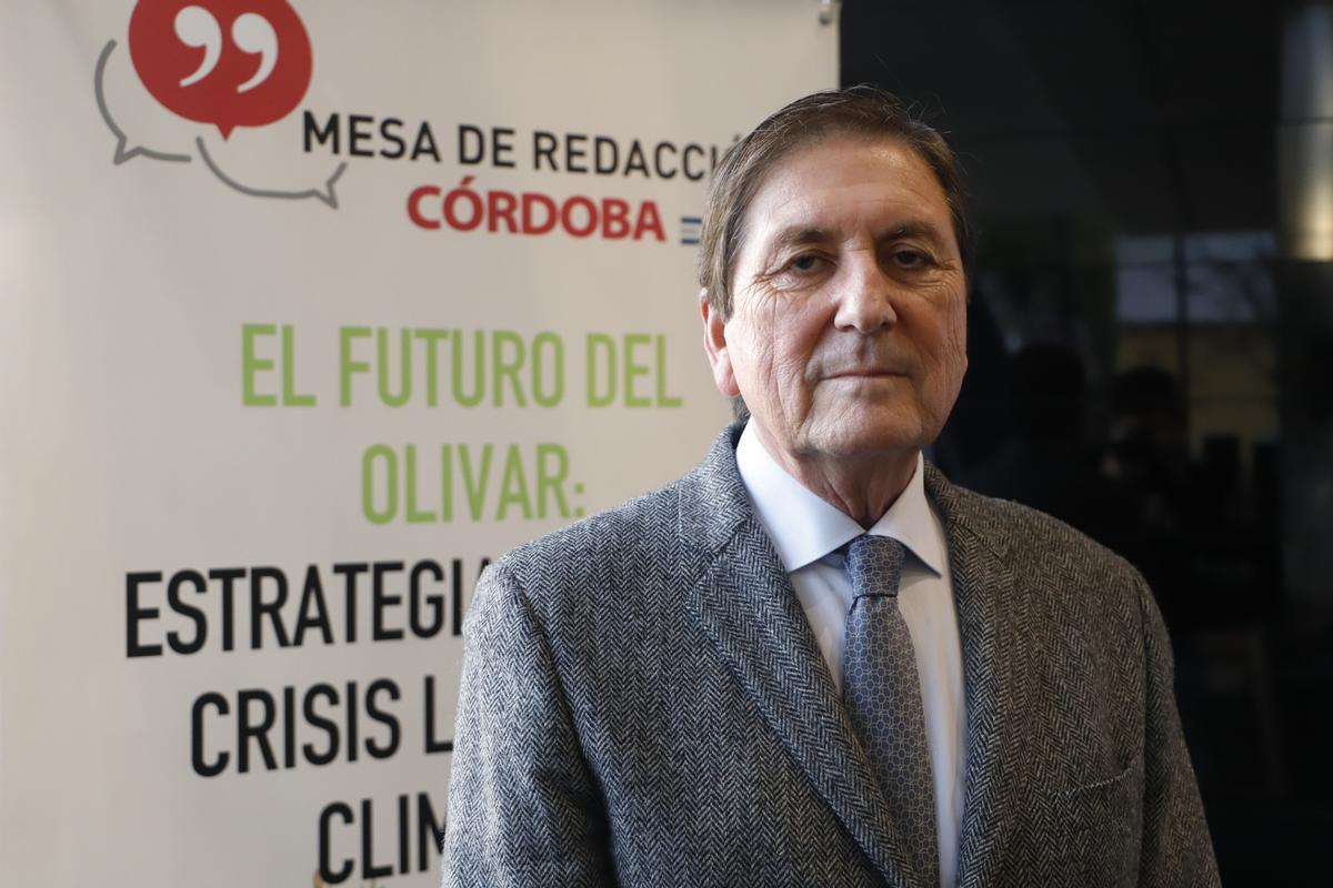 Radiografía del sector oleícola en Córdoba, en imágenes