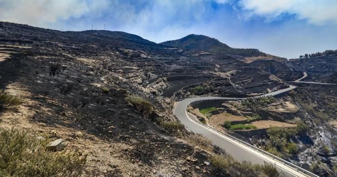 ARTENARA. Incendio en la Cumbre. Vistas de Artenara tras el incendio. El Fuego llegó hasta las casas del Pueblo.  | 11/08/2019 | Fotógrafo: José Pérez Curbelo