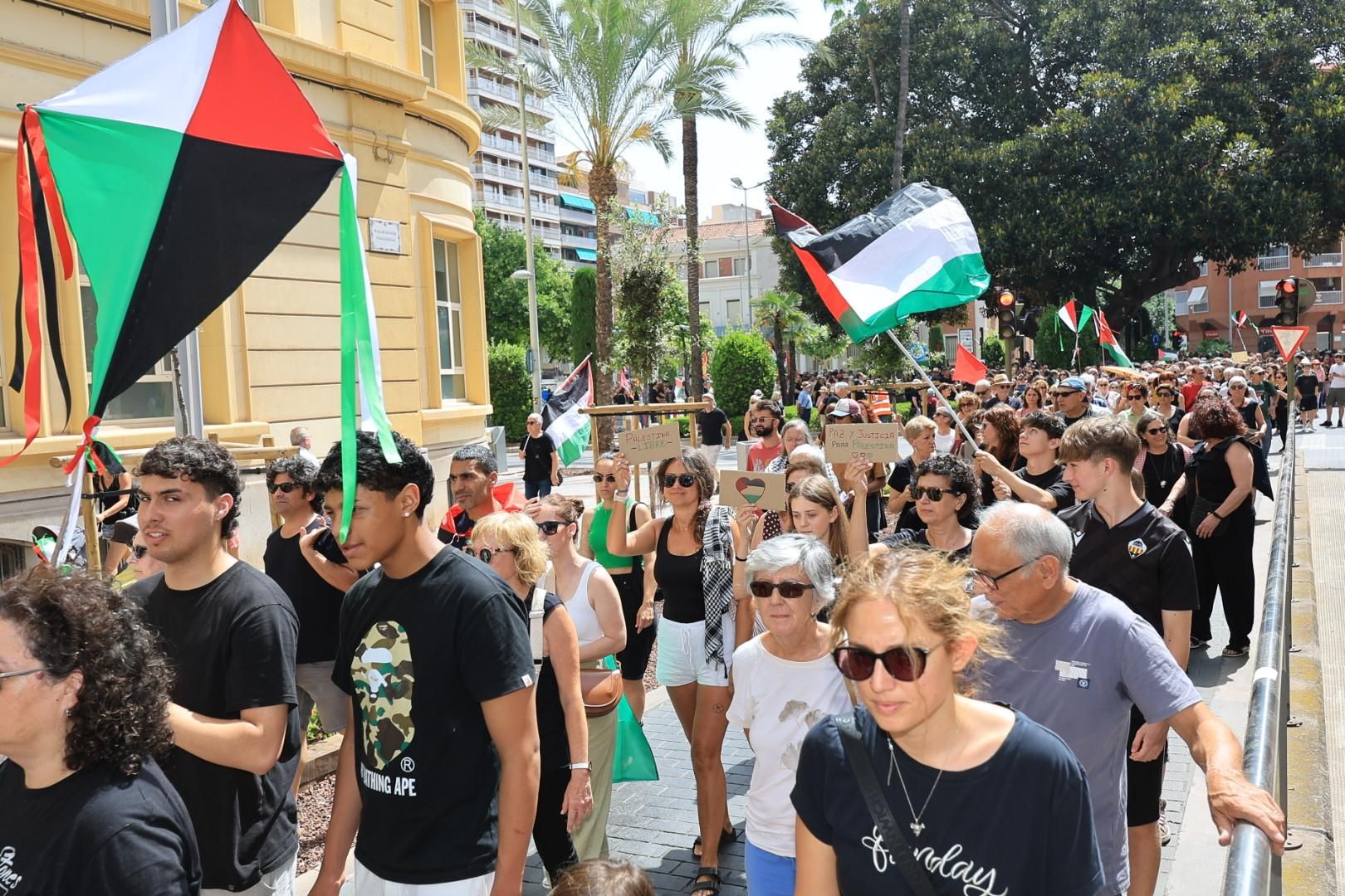 Manifestación a favor del pueblo palestino y la paz en Castellón