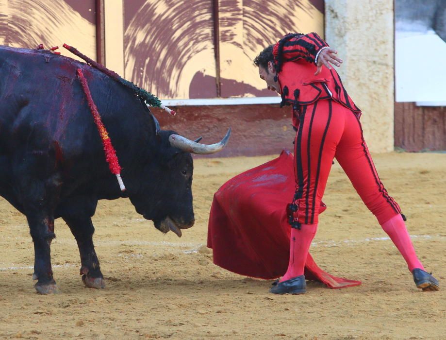 Toros | Corrida Picassiana de la Feria de Málaga