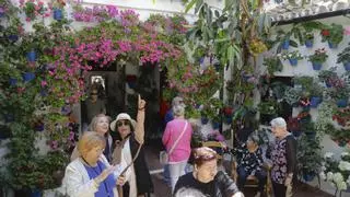 El Ayuntamiento de Córdoba confirma la participación de 52 patios en el Concurso Municipal