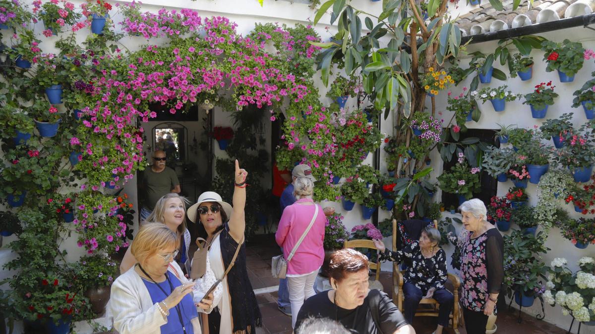 Vistantes en el Concurso de Patios 2023, en al recinto de Tinte 9.