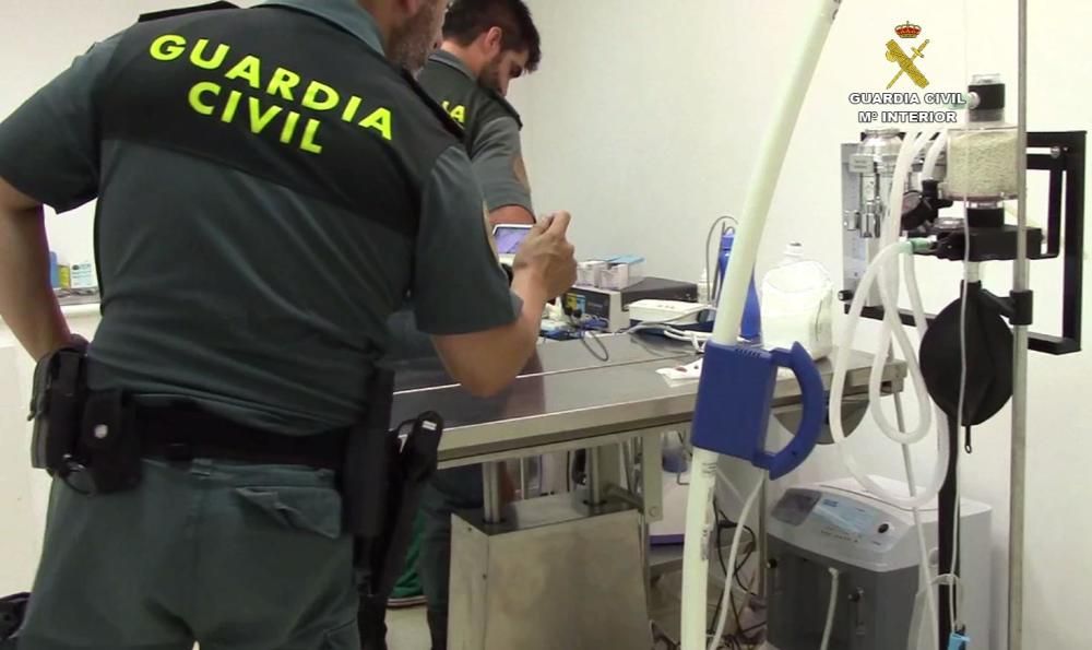 Investigan a un veterinario por maltrato animal y estafa en Palma