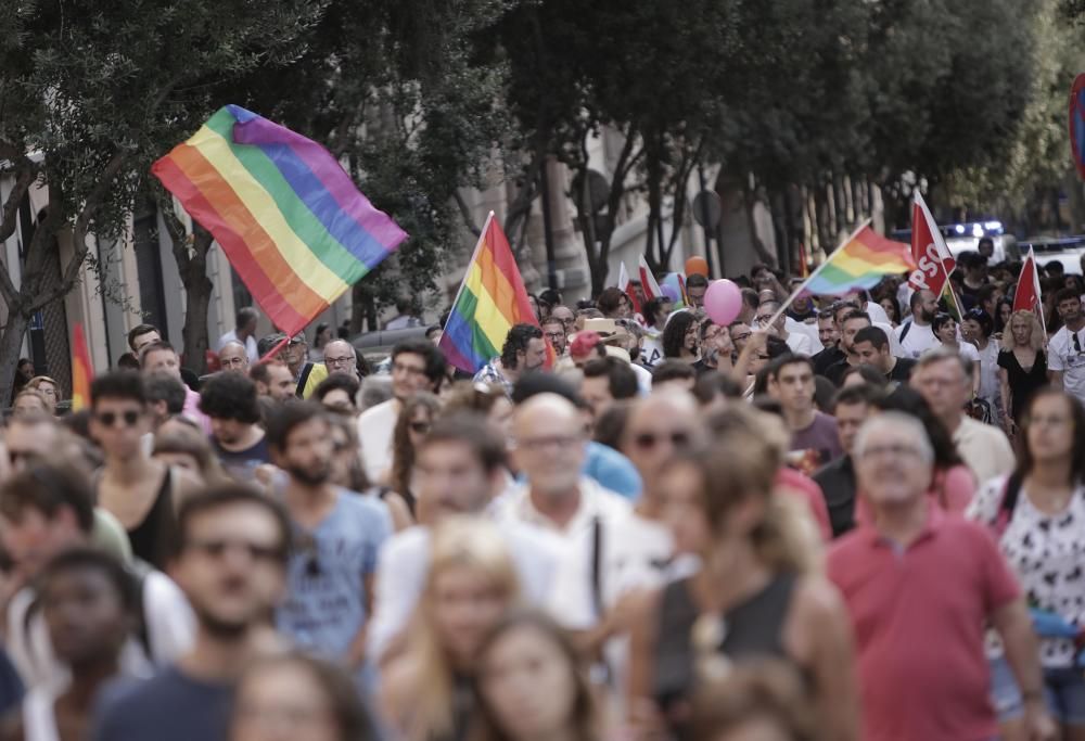 El Día del Orgullo Gay con más políticos