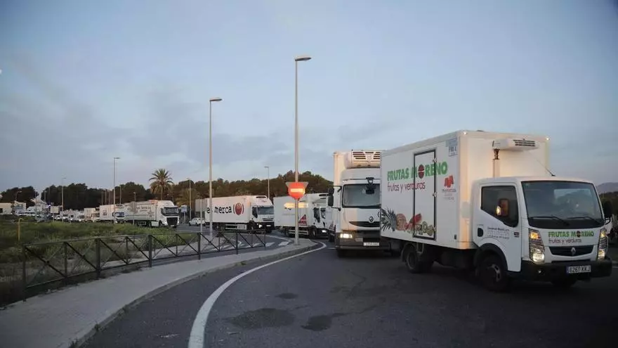 VÍDEO | El transporte balear anuncia una importante subida de sus precios para 2027