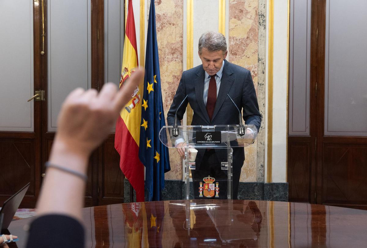 El presidente del Partido Popular, Alberto Núñez Feijóo, durante una comparecencia en el Congreso de los Diputados.