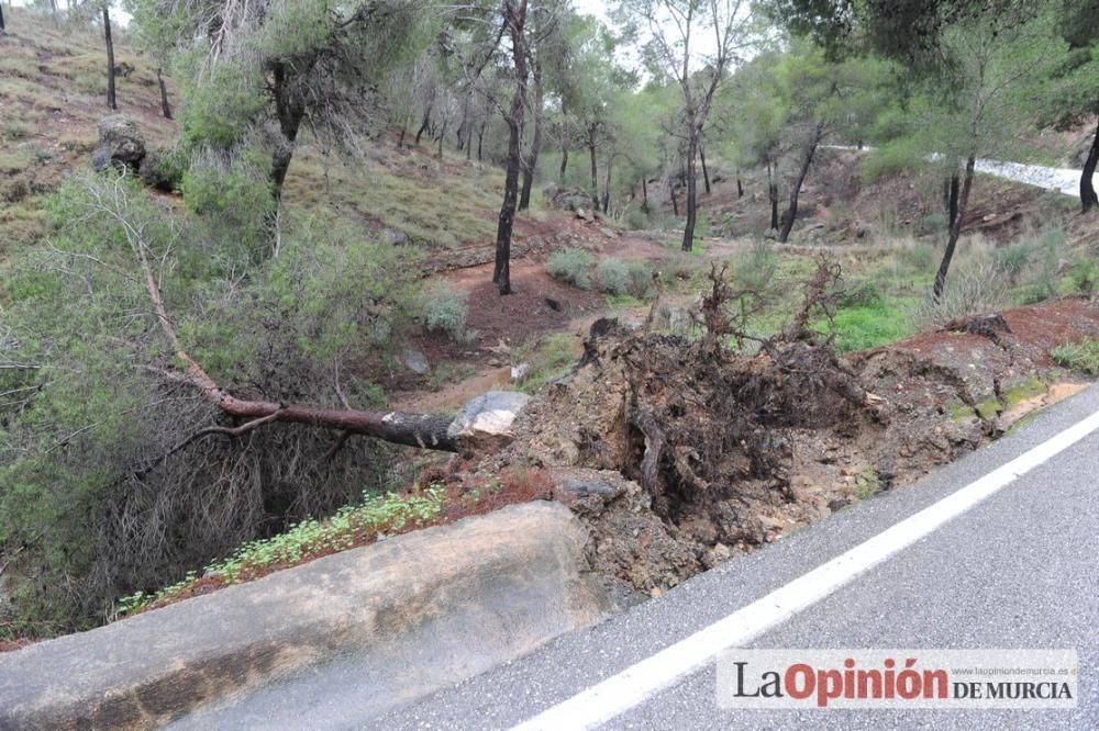 Las consecuencias del temporal en Murcia