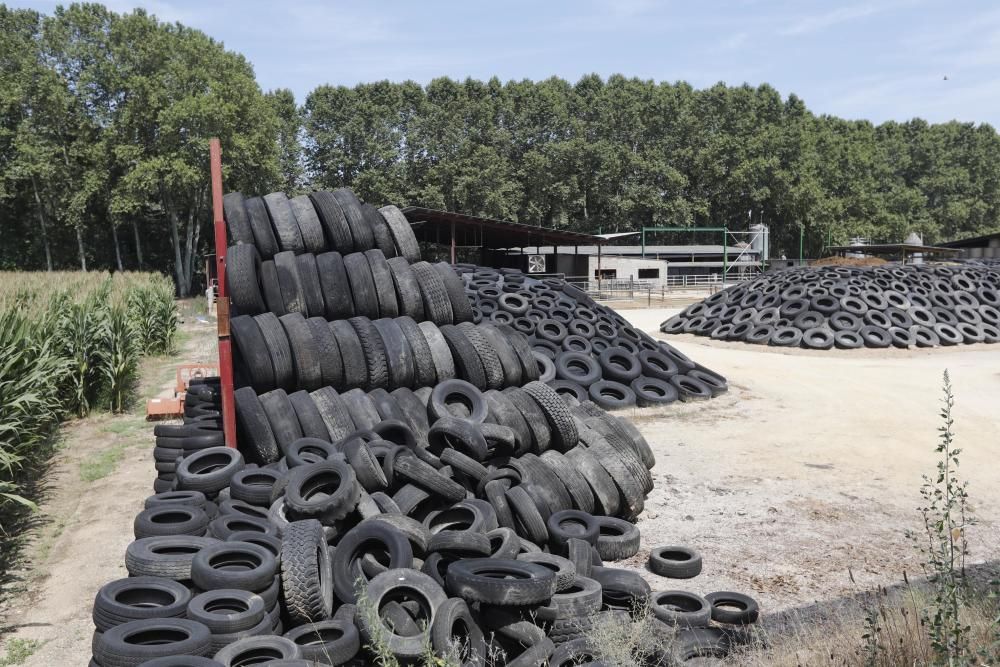 Abocador il·legal de pneumàtics a Bescanó