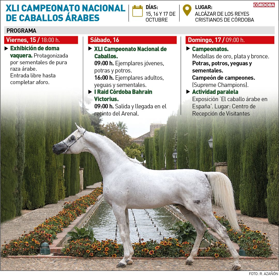 Gráfico del Campeonato nacional de Caballos Árabes.