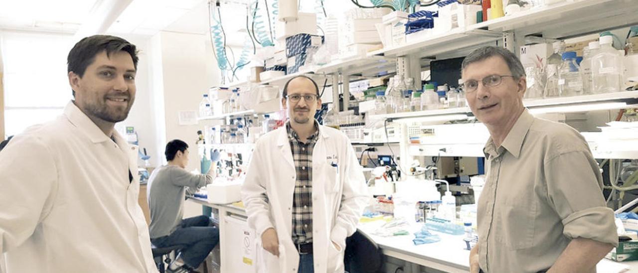 Laboratorio de referencia internacional  |  Jaime Barros (en el centro) trabaja en el grupo de Richard Dixon (a la dcha.), que también firma el artículo publicado en Nature Plants y en el que el biólogo gallego aparece como autor principal. Dixon es una autoridad científica y figura entre los 10 autores más citados en ciencia vegetal y animal. Preside la Asociación Americana de Biólogos de Plantas y es miembro de la Academia Nacional de Ciencias de EE UU, la Academia Nacional de Inventores y la Asociación Americana para el Avance de la Ciencia. Junto a ellos, aparece el estudiante de doctorado Aaron Harkleroad.